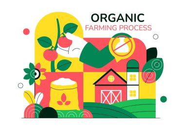 Organik Tarım Süreci Vektör İllüstrasyonu Sürdürülebilir Tarım, Çevre dostu Tarımcılık Yöntemleri ve Doğal Gıda Üretim Geçmişini Gösteriyor