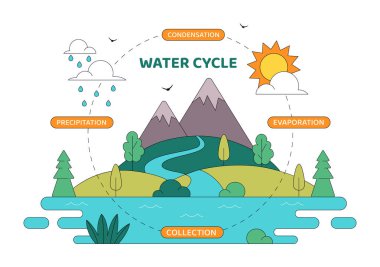 Su Döngüsü Vektör İllüstrasyonunda Buharlaşma, Yoğunlaşma, Yağış ve Toplama Dünya 'nın Doğal Ortamı Arkaplanında