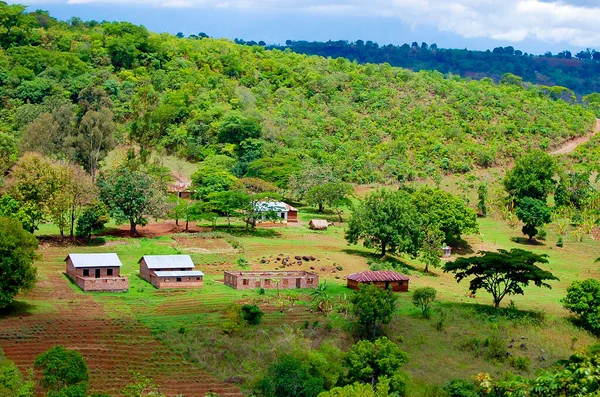 Remote African Village Tanzania — Stock Photo, Image