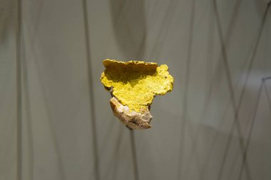 Ekranda Hakiki Altın Külçeler