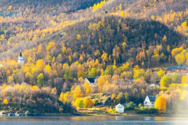 Finnmark İlçesinde Sonbahar - Norveç