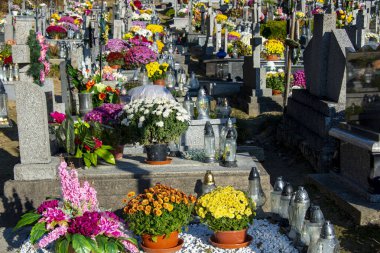Azizler Günü 'nde Çiçekli Mezarlar