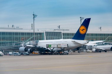 Münih, Almanya - 14 Kasım 2024: Münih uluslararası havaalanında apron üzerinde ticari havayolları