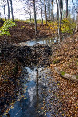 Nehirdeki Kunduz Barajı
