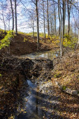 Nehirdeki Kunduz Barajı