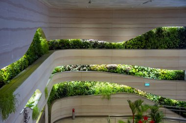 Yeşil Bitkilerle Yaşayan Duvarlar