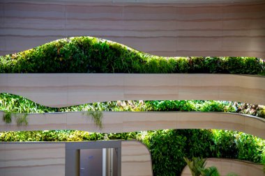 Yeşil Bitkilerle Yaşayan Duvarlar