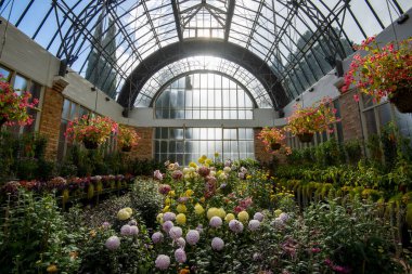 Auckland Domain Kış Bahçeleri 'ndeki Ilıman Evi - Yeni Zelanda