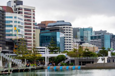 Wellington 'daki Whairepo Gölü - Yeni Zelanda