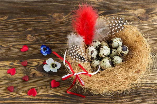 Quail eggs in the nest — Stock Photo, Image