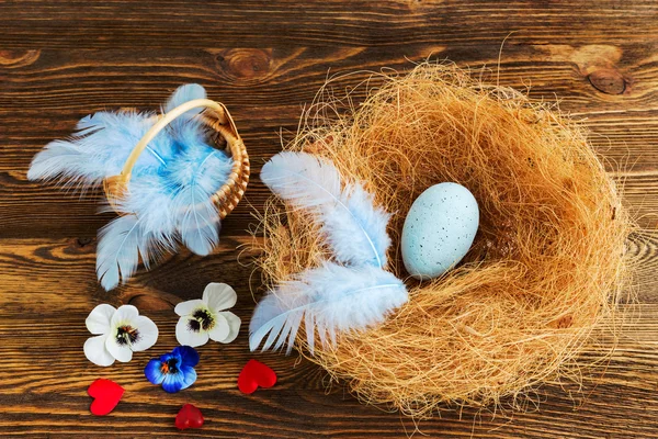 Nest with blue egg — Stock Photo, Image