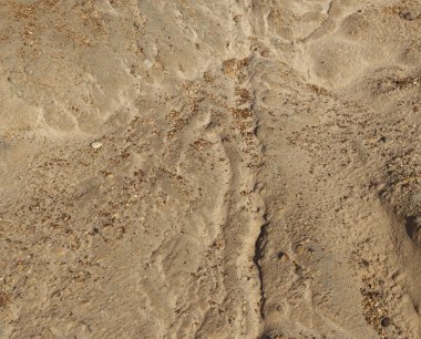 küçük çakıl taşları arka plan doku