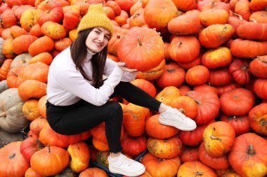 Şükran günün kutlu olsun. balkabağı ve balkabağı
