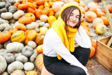 Mutlu Şükran Günleri. Sepette sonbahar balkabağı