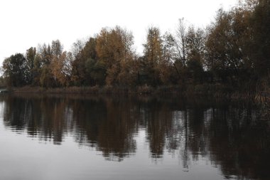 Ağaçlı ve göllü sonbahar manzarası
