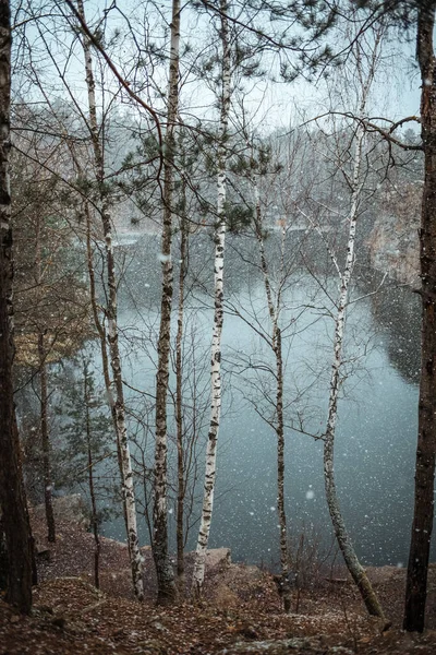 冬の森の風景 雪景色の写真 — ストック写真