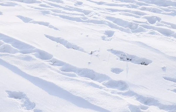 Piste Dans Neige — Photo