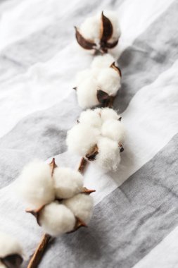 Pamuk kumaşta pamuk çiçeği