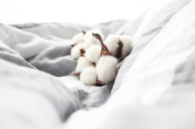 Pamuk kumaşta pamuk çiçeği