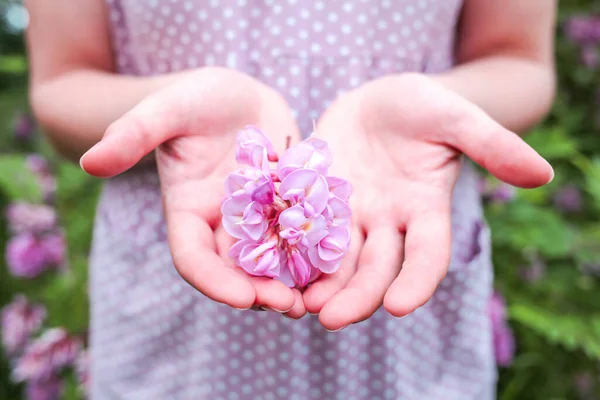 Jonge Hippe Vrouw Met Paars Haar Draagt Een Bril Een — Stockfoto