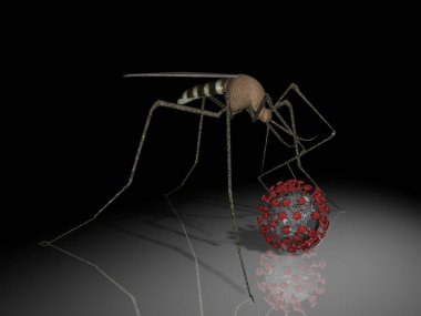 Sivrisinek ve Coviv-19 Coronavirus modeli. 3d oluşturma.