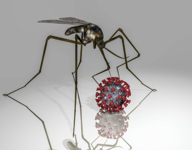 Sivrisinek ve Coviv-19 Coronavirus modeli. 3d oluşturma.