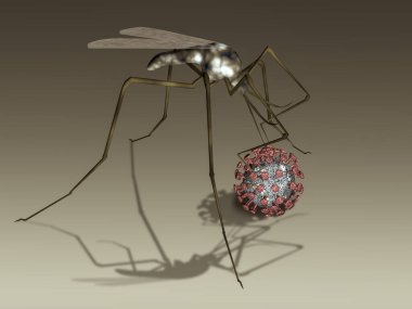 Sivrisinek ve Coviv-19 Coronavirus modeli. 3d oluşturma.