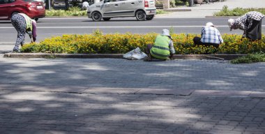 Şehrin belediye çalışanları şehirdeki çimlerin çiçekleriyle ilgilenirler..
