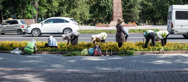 Funcionários Municipais Cidade Cuidam Das Flores Gramado Cidade Fotografia De Stock