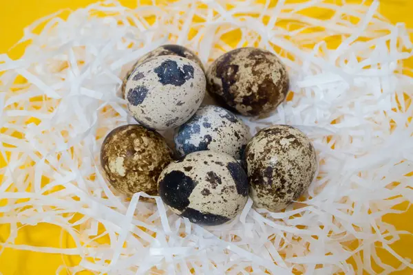 Natural food. Raw quail eggs in a nest made of white paper on a yellow background. Low-calorie protein food