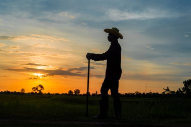 Erkek çiftçi gün batımında bir tarlada çapa tutuyor.