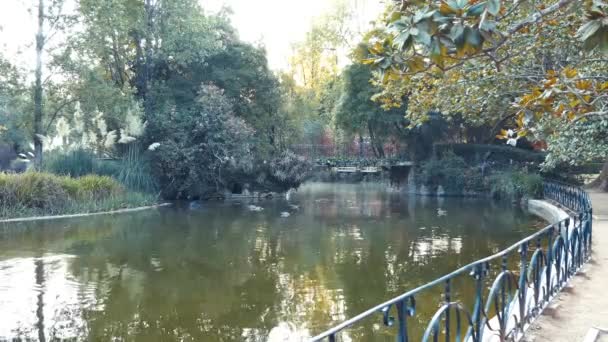 Parque Carlos Caldas Rainha Portugal — Vídeos de Stock