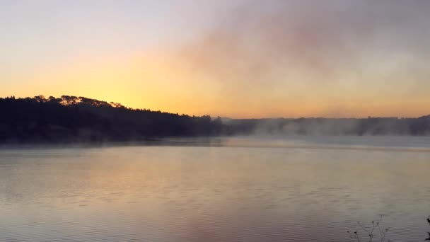 Lagoa Obidos Portekiz — Stok video