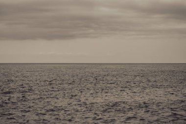 Sahilden Karadeniz manzarası