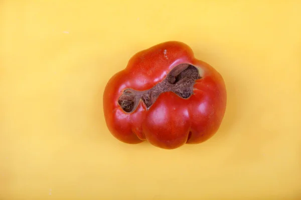 Hässlich Komische Reife Rote Tomate Liegt Auf Gelbem Hintergrund — Stockfoto