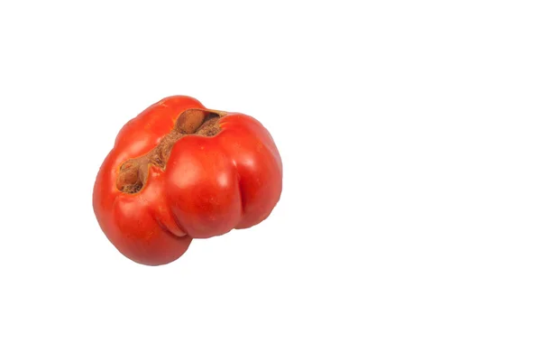 Ugly Funny Ripe Tomato White Isolated Background Copy Space — Stock Photo, Image