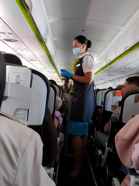 Tıbbi Maskeli Lastik Eldivenli Bir Uçuş Görevlisi Uçağın Yolcularına Getirir Telifsiz Stok Fotoğraflar