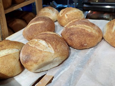 Taze pişmiş somunlar bir fırının tepsisinde yatıyor..