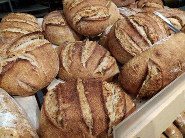 Taze pişmiş somunlar bir fırının tepsisinde yatıyor..