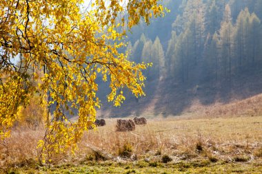 Altay haystacks sonbahar