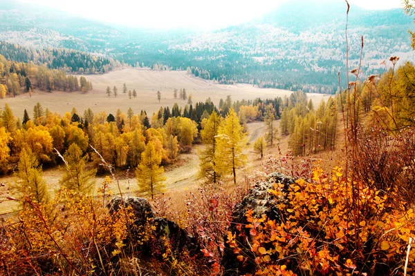 Altay sonbahar — Stok fotoğraf