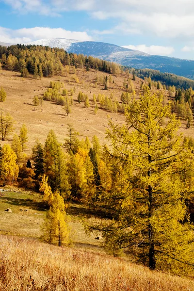 Pohled na Mount Altaj sarlyks — Stock fotografie