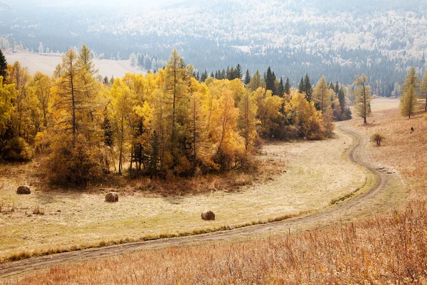 Route entre les montagnes de l'Altaï. automne — Photo