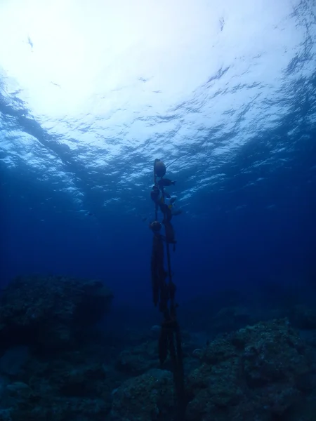 Bajo los rayos del agua —  Fotos de Stock