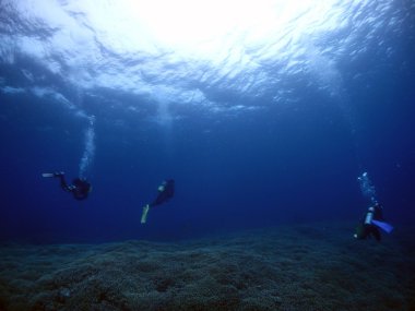 su ışınları altında