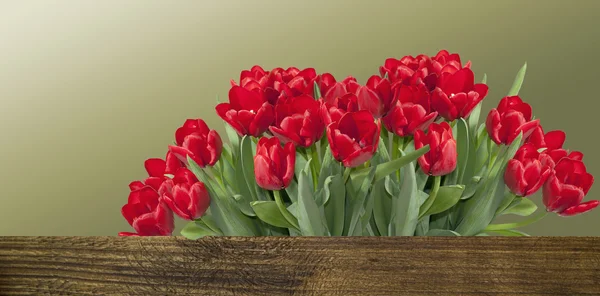 Ramo de tulipanes rojos — Foto de Stock