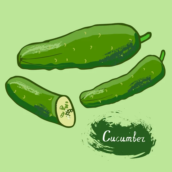 Cucumber drawn vector — Stock Vector