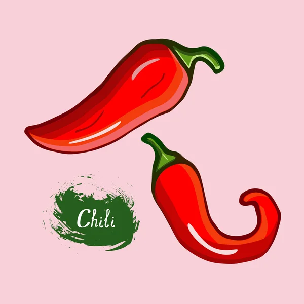 Red chili pepper, drawn in a vector — Stock Vector