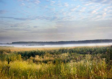 Şafak vakti sis ile otsu çayır
