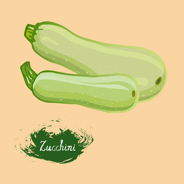Zucchini im Vektor — Stockvektor